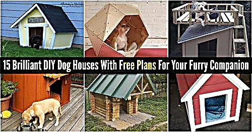 15 منزل كلاب DIY رائع مع خطط مجانية لرفيق فروي