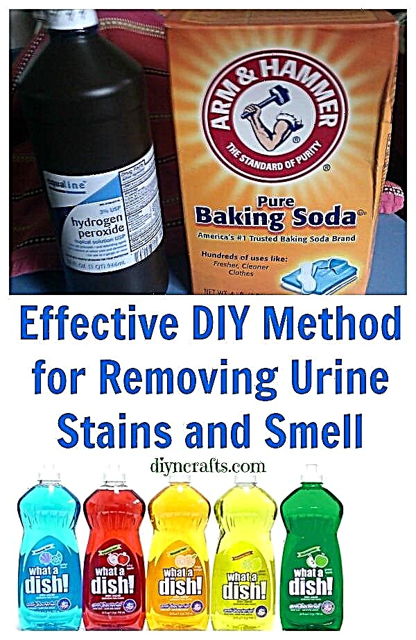 Método faça-você-mesmo eficaz para remover manchas e cheiro de urina {receita}