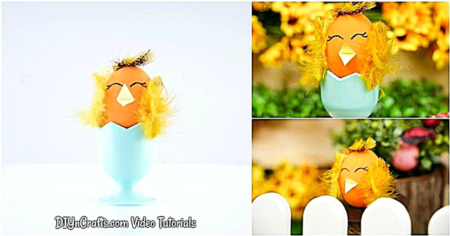 Sevimli Paskalya Yumurtalı Tavuk El İşi (Videolu)