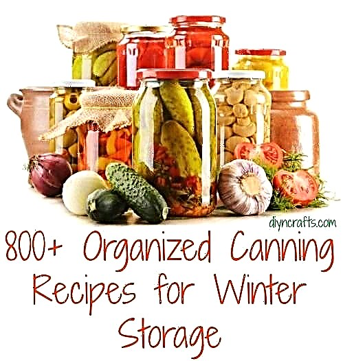 Plus de 800 recettes de conserves organisées pour le stockage hivernal