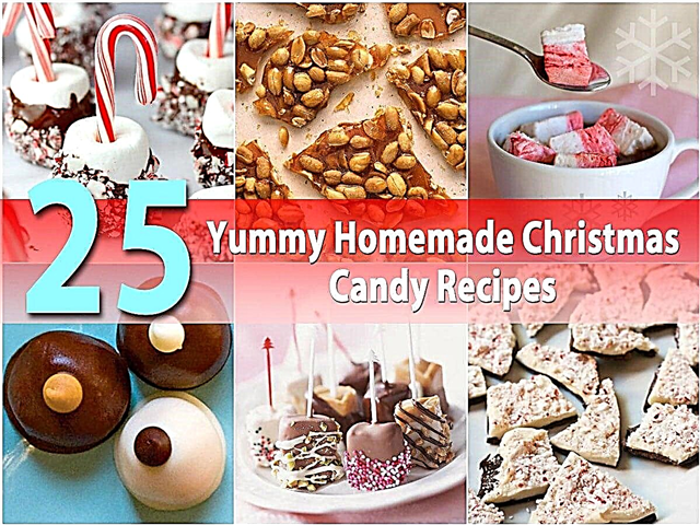 25 deliciosas receitas de doces caseiros de Natal