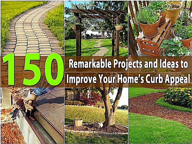 150 dự án và ý tưởng đáng chú ý để cải thiện sự hấp dẫn cho khu nhà của bạn