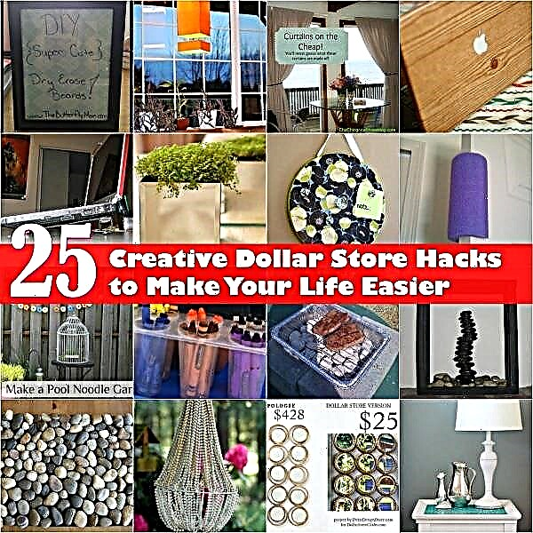 25 Creative Dollar Store Hacks ที่จะทำให้ชีวิตของคุณง่ายขึ้น