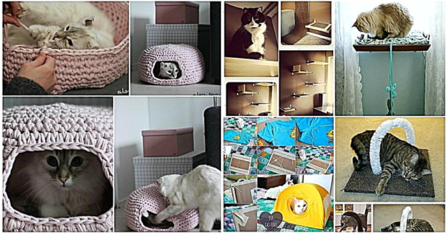 20 Purrfect DIY projektů pro majitele koček