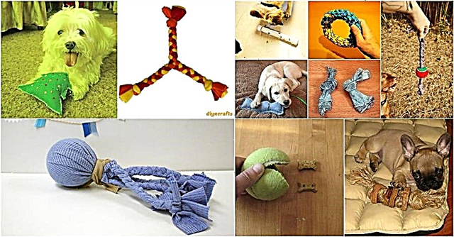 25 úžasně zábavných DIY psích hraček, které hýčkají vaše štěňata
