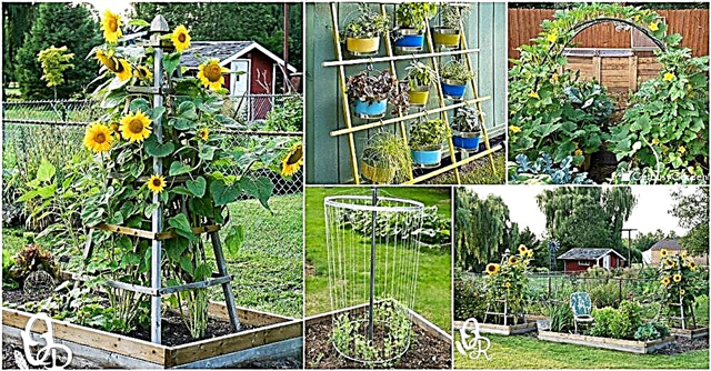 정원에 매력과 기능성을 더하는 20 가지 DIY 격자 아이디어