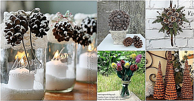 25 radoši pinecone amatniecības izstrādājumi, kas piešķir skaistumu jūsu rudens un ziemas dekoram