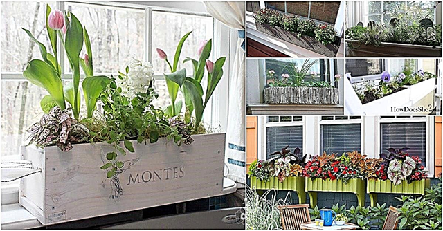 20 великолепни саксии за цветя за прозореца „направи си сам“, за да разкрасите дома си