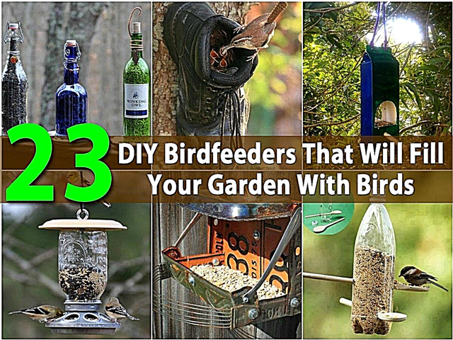 23 DIY Birdfeeders, der vil fylde din have med fugle