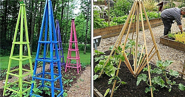 15 giá đỡ và lồng trồng cây tự làm mà bạn cần trong khu vườn mùa hè của mình