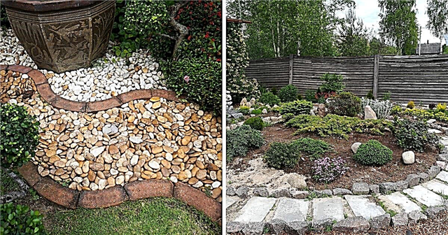 10 smukke og nemme DIY Rock Gardens, der bringer stil til din udendørs