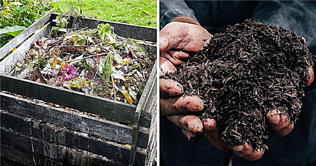 15 công thức phân bón hữu cơ tự làm trong vườn sẽ làm đẹp khu vườn của bạn