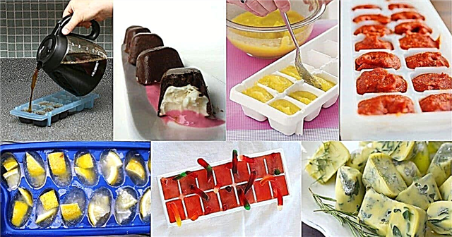 40 Clevere und kreative Möglichkeiten zur Verwendung einer Eiswürfelschale