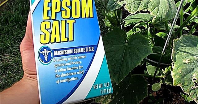 庭でエプソム塩を使用する15の賢い方法