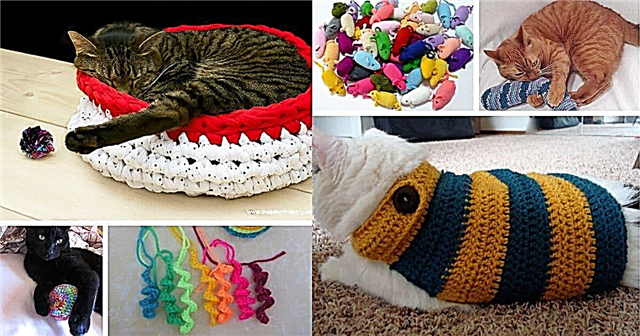 25 zabavnih in enostavnih vzorcev kvačkanja za vašo mačko