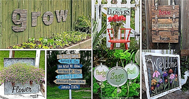 43 DIY dārza zīmes, lai izrotātu un izrotātu savu dārzu