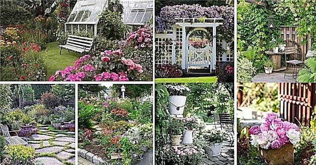 37 idee per la decorazione del giardino in stile cottage fai-da-te con uno stile stravagante